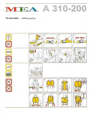 mea a 310-200.jpg